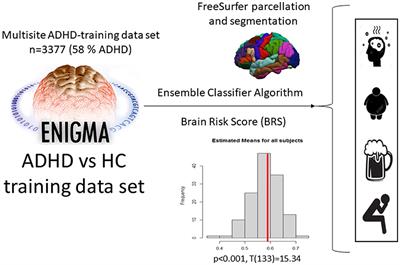 Structural brain morphometry as classifier and predictor of ADHD and reward-related comorbidities